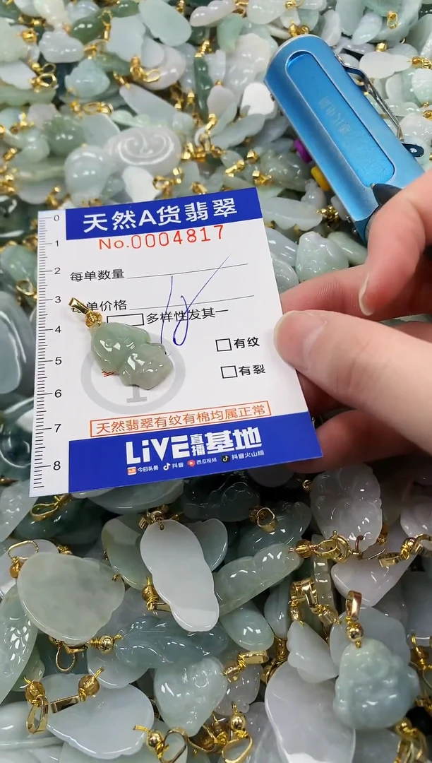颈饰未镶嵌翡翠纯天然a货翡翠