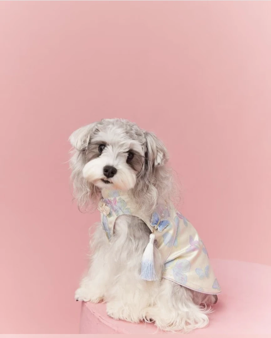 母狗狗衣服新中国风无袖旗袍·宠物背心坎肩