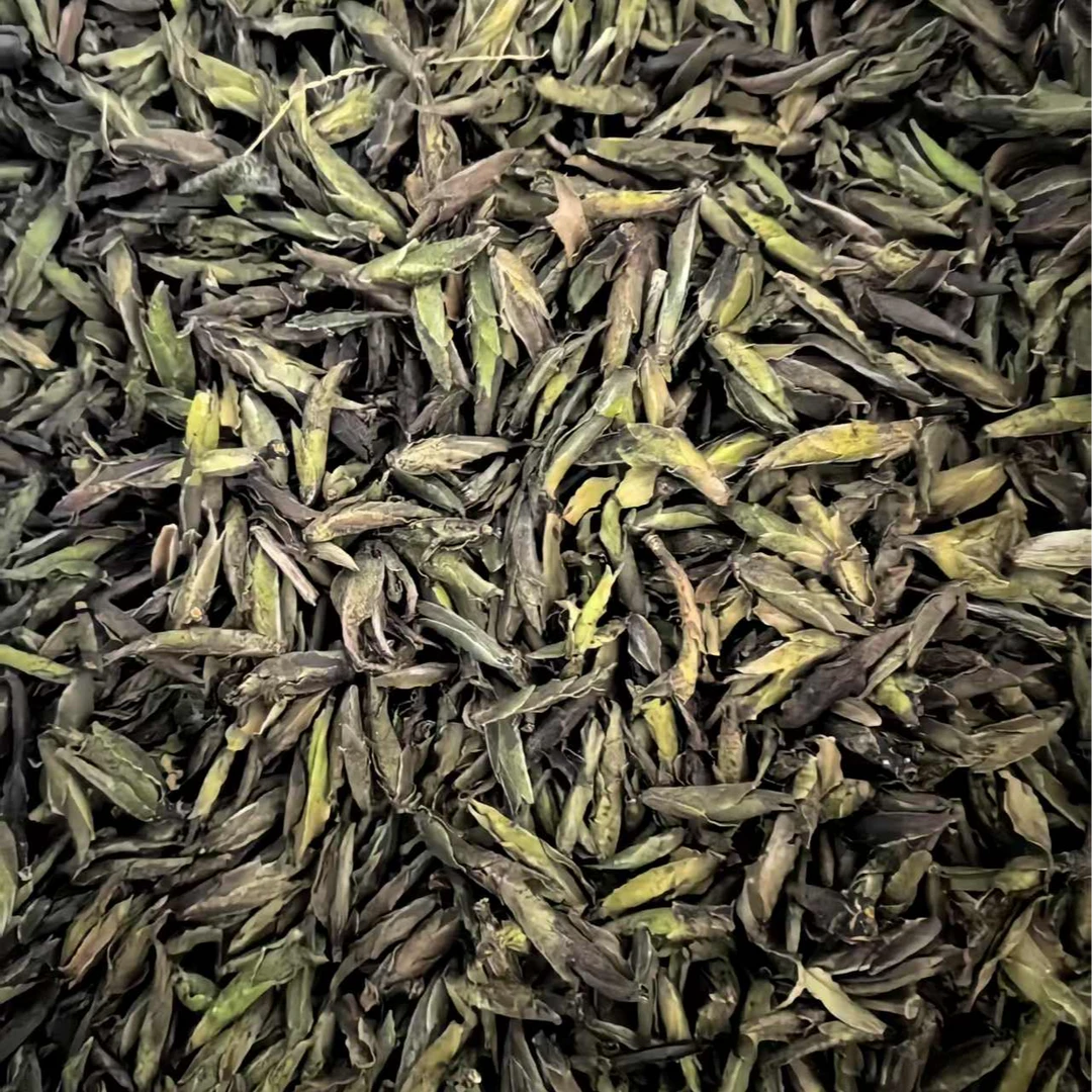 2022头春野放芽苞（贡眉）