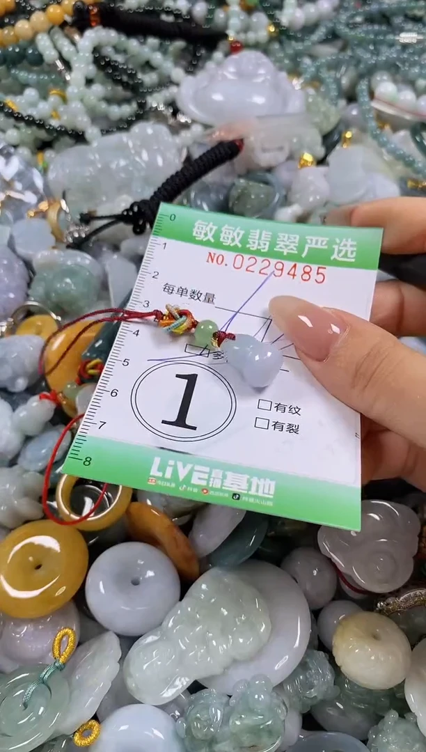 翡翠未镶嵌颈饰闪购0229485多样性发其一