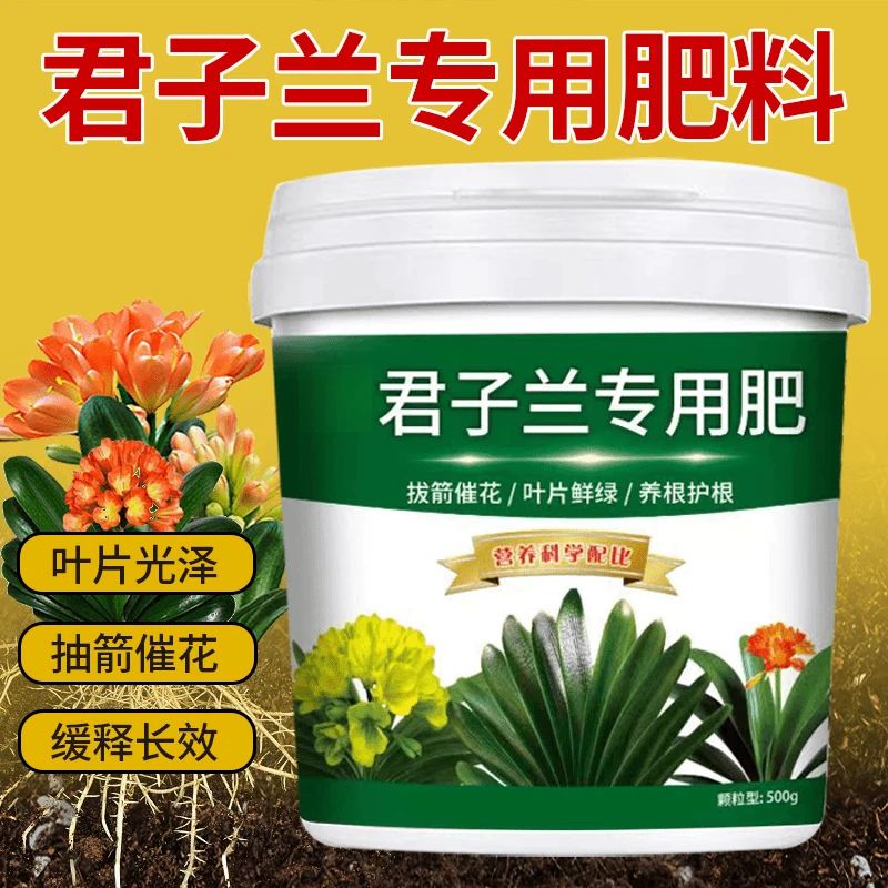 君子兰专用肥抽剑催化叶片光泽颗粒缓释长效营养颗粒有机肥料促进