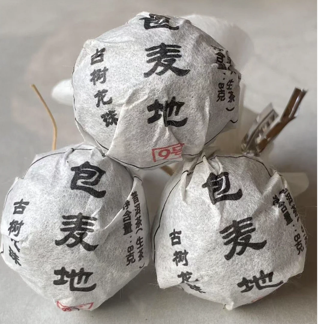 【2024包麦地 】古树龙珠