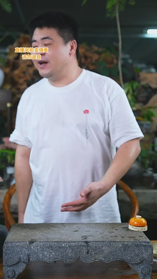 当前无花栽培后可以开花红钻景德镇高端瓷器瓶236T