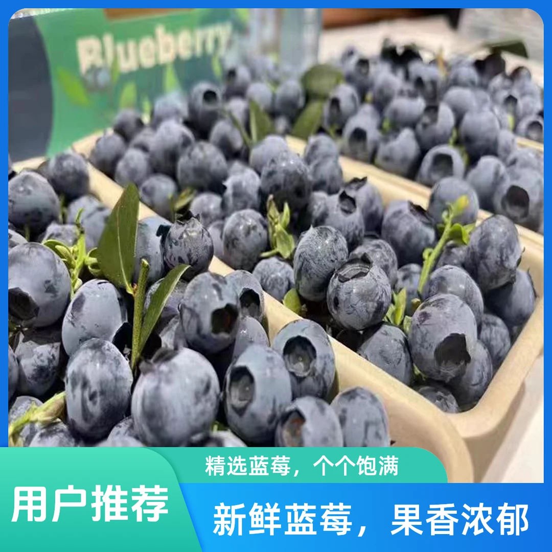 【蓝莓鲜果果王】L25蓝莓云南高山大果蓝莓新鲜孕妇水果包邮