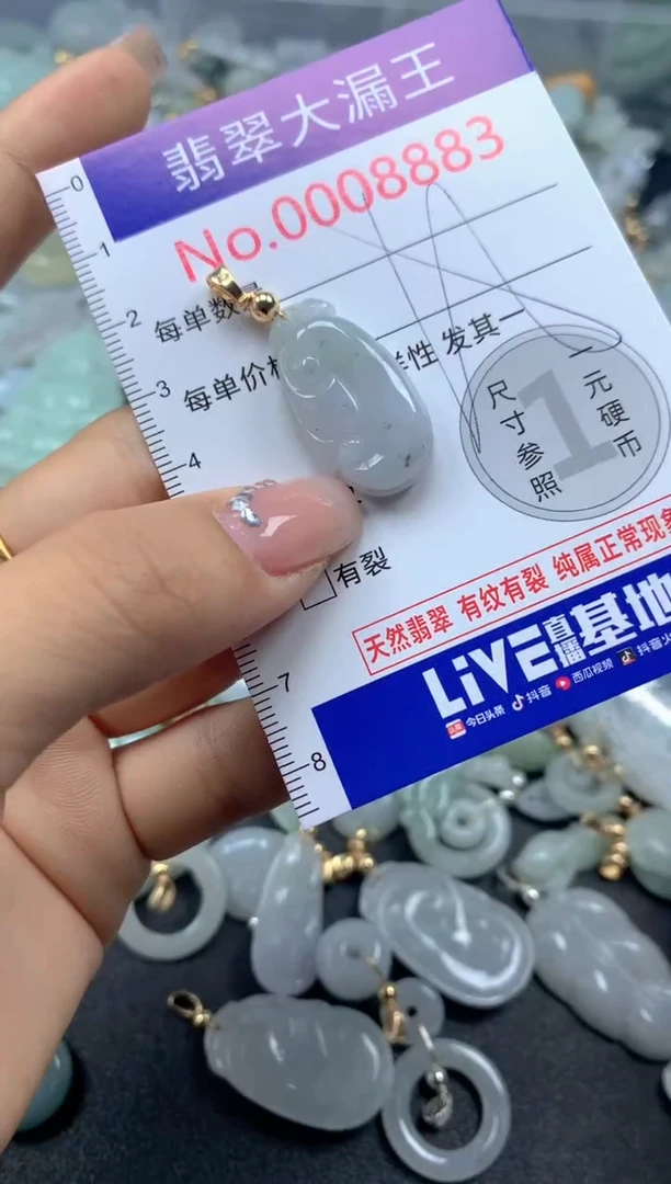 颈饰未镶嵌翡翠8883