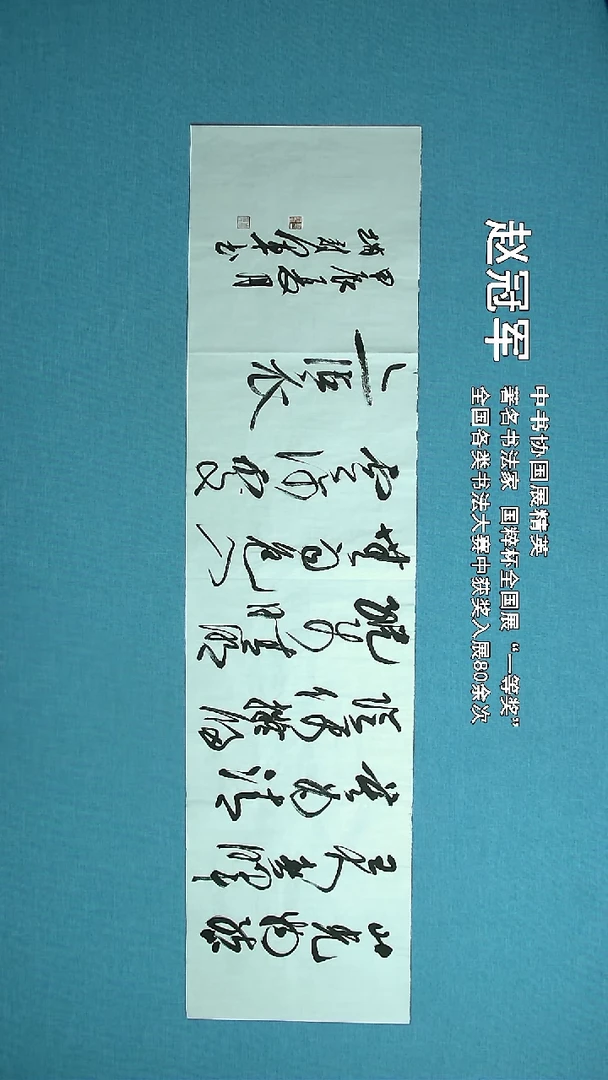 【闪购商品】书法065 上海赵冠军中书协138*34