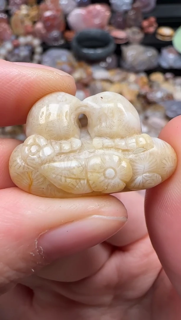 颈饰未镶嵌硅化珊瑚（珊瑚玉）688