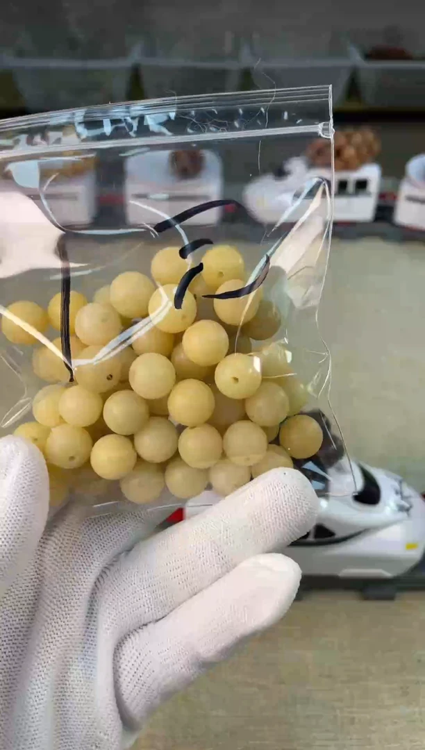 手串菩提根/象牙果05