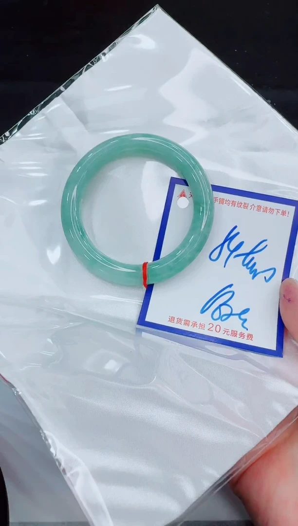 未镶嵌手镯翡翠11111111
