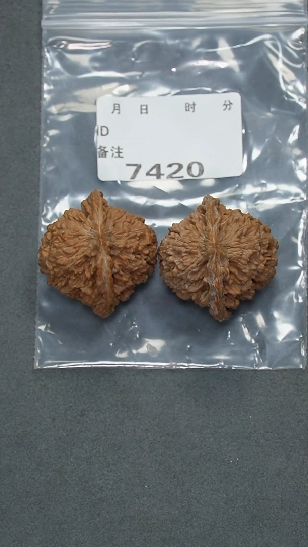【闪购商品】文玩核桃把件42满天星