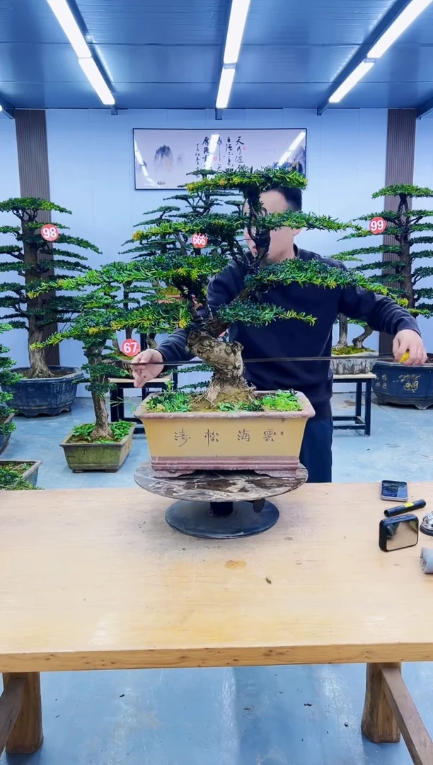 无花朵0000000000000000000000