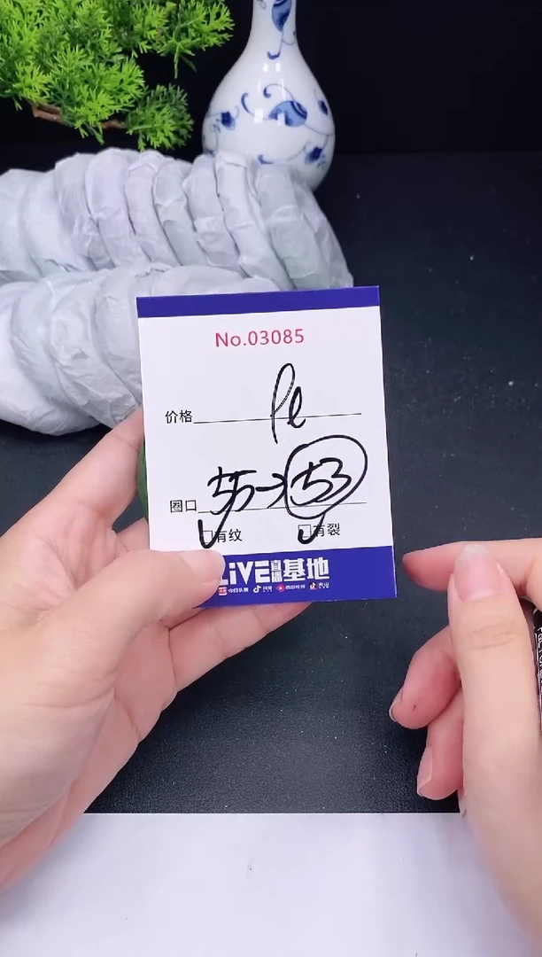未镶嵌手镯翡翠3085