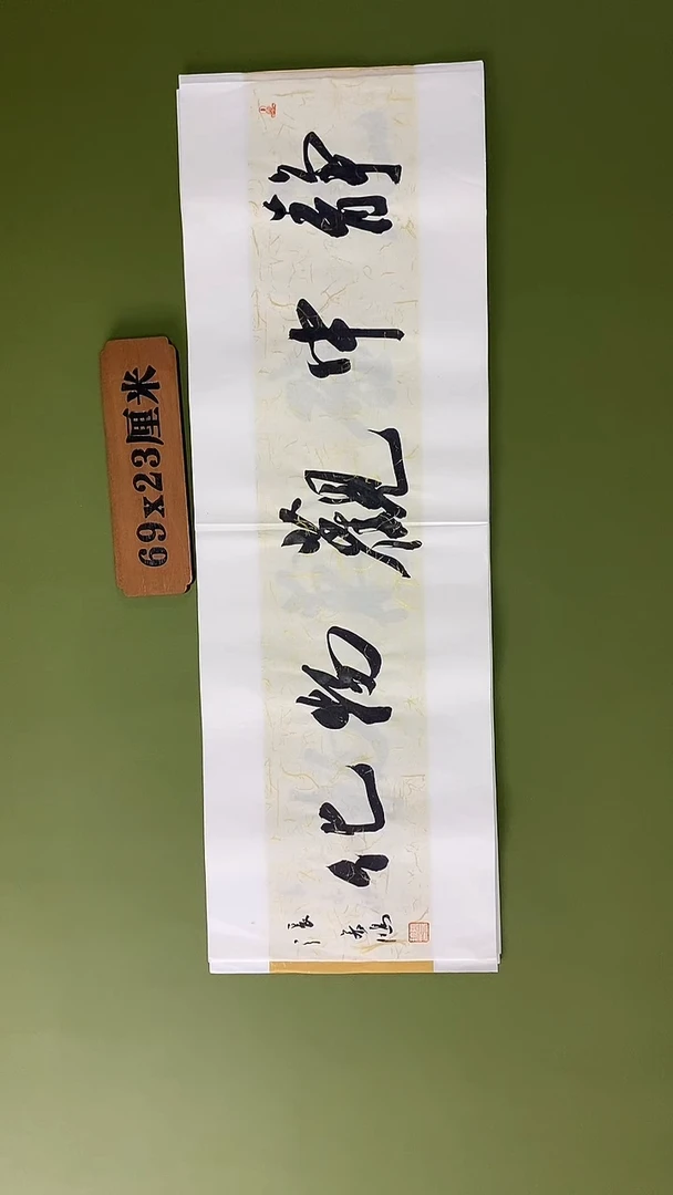 书法书法 张若鸿 尺寸69cm*23cm