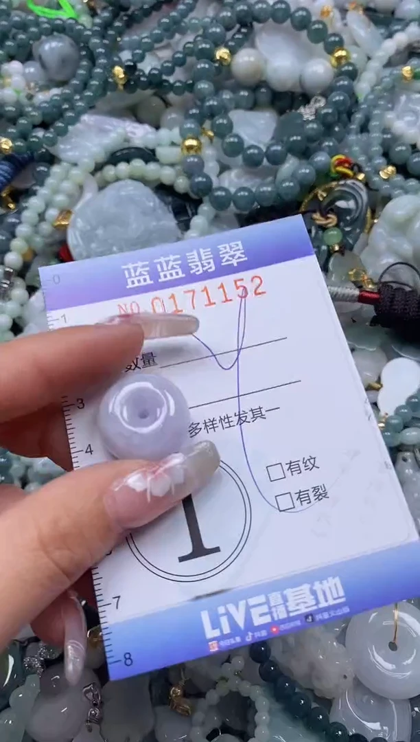 【闪购商品】翡翠颈饰未镶嵌闪购0171152