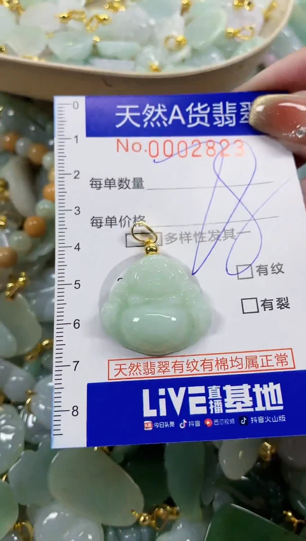 颈饰未镶嵌翡翠天然A货翡翠