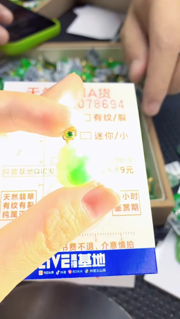 翡翠未镶嵌颈饰        1