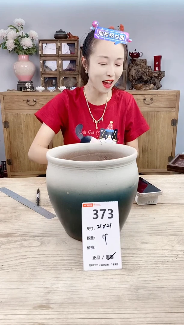 小玩子花盆直播号373