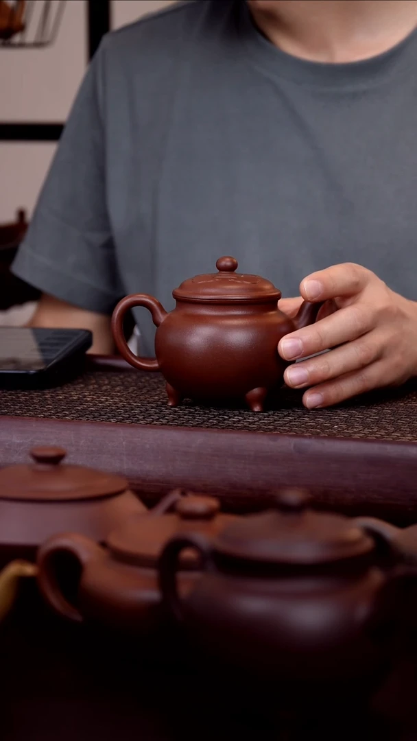 茶壶紫砂李**✨哇哇哇哇