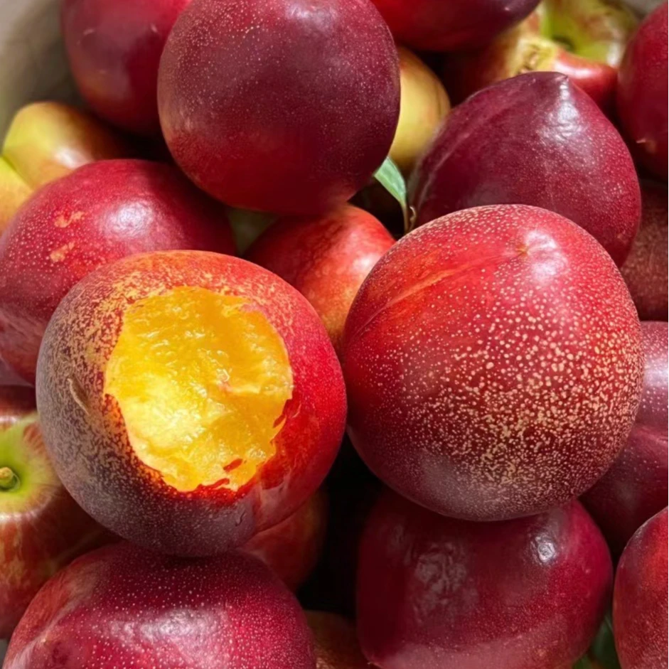 【开播链接】【平谷黄心麻点红油桃】纯甜无酸  精选大果 顺丰包邮 次日达 限量100单！！！当季新鲜水果桃子北京市