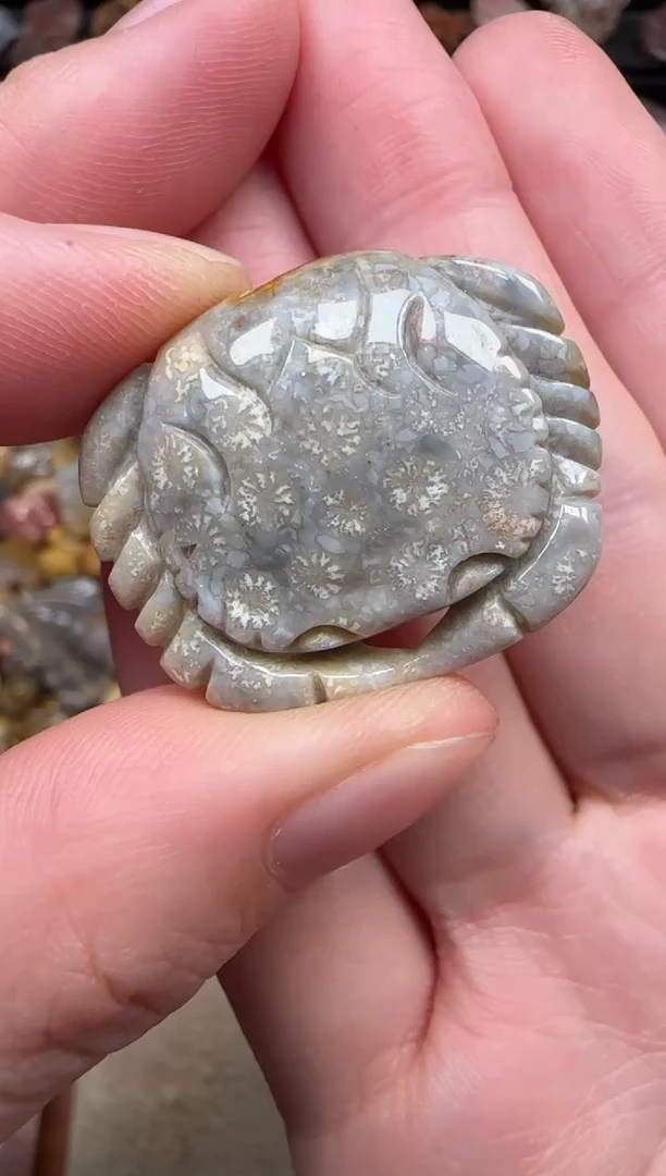 颈饰未镶嵌硅化珊瑚（珊瑚玉）510