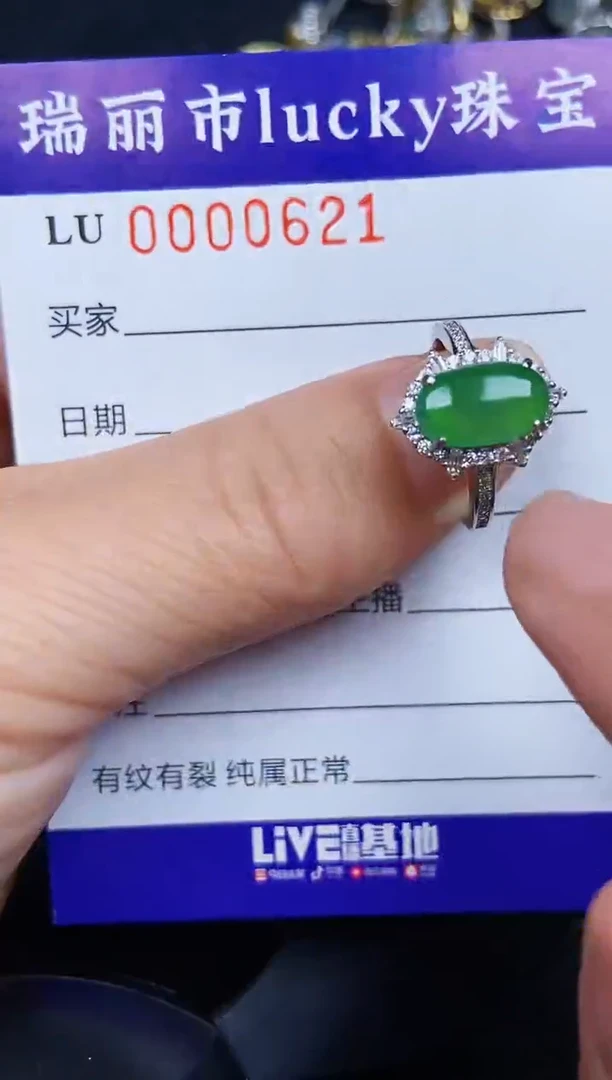 翡翠银S925镶嵌颈饰0621