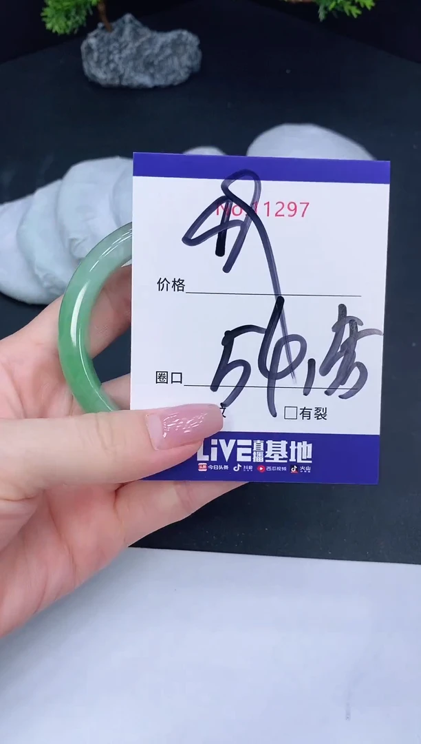 未镶嵌手镯翡翠11297