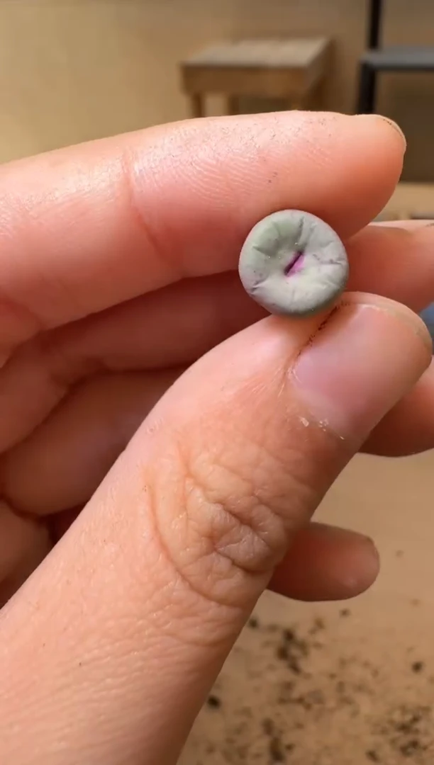 多肉植物肉锥生石花14-165