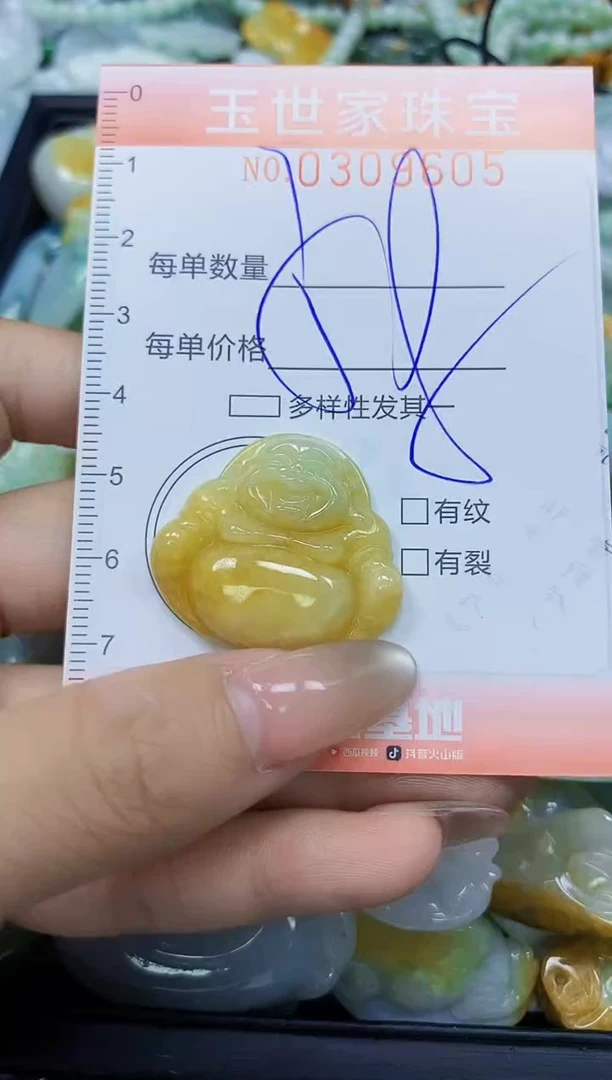 翡翠未镶嵌颈饰闪购0309605