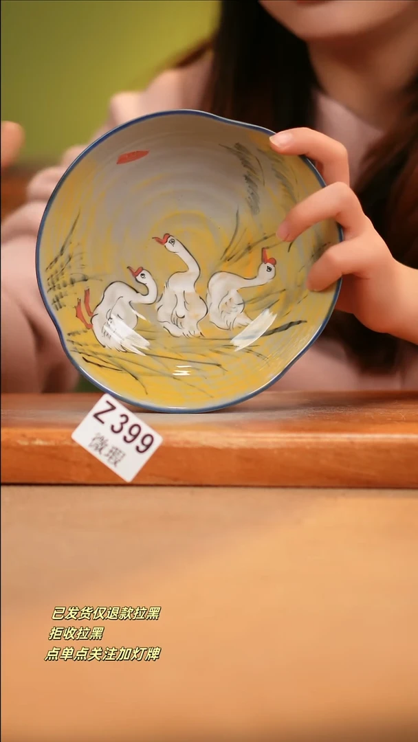 【闪购商品】瓷片WZ399 窑林瓷业陶瓷