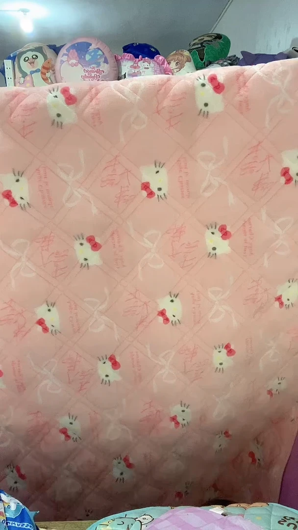120*200cm  kt法兰绒加厚垫子