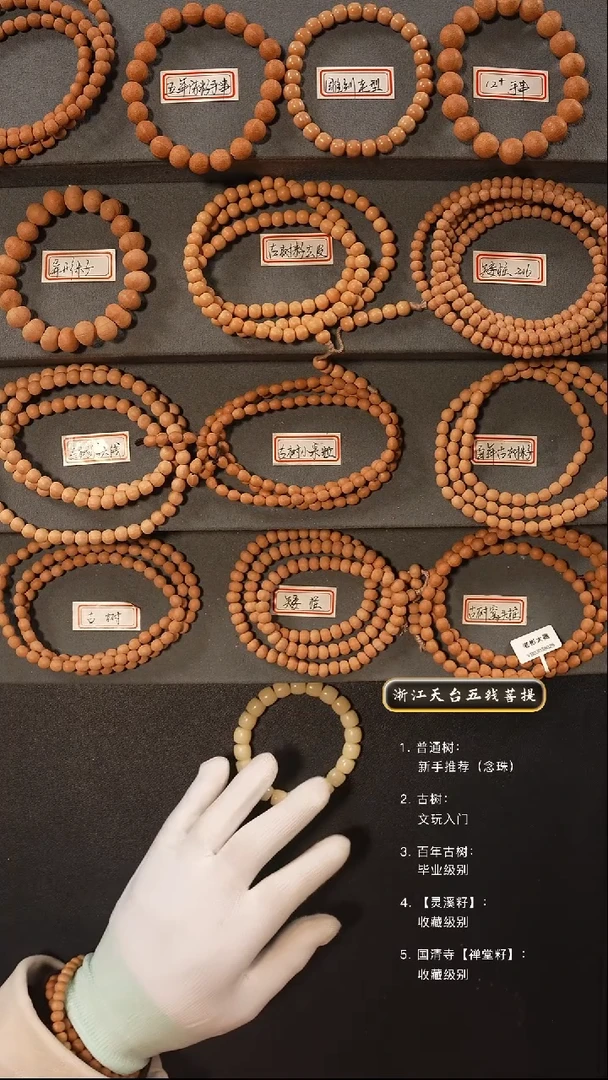 【闪购商品】五线菩提吊坠手串