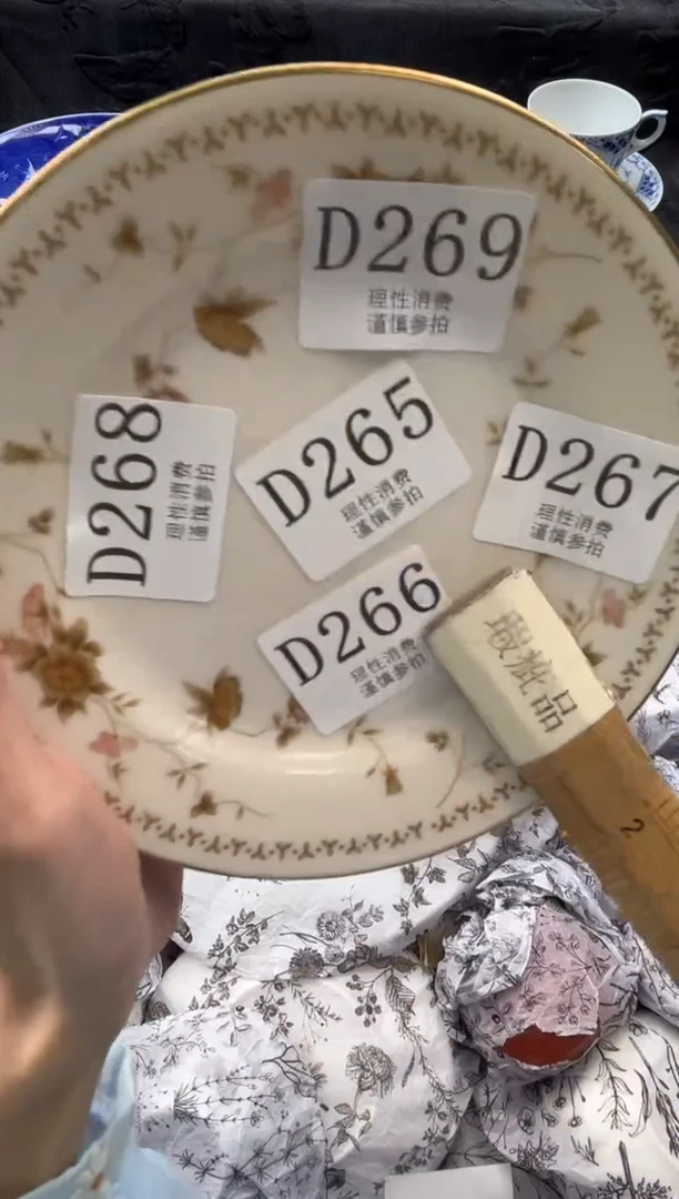 瓷片袅**影       D269