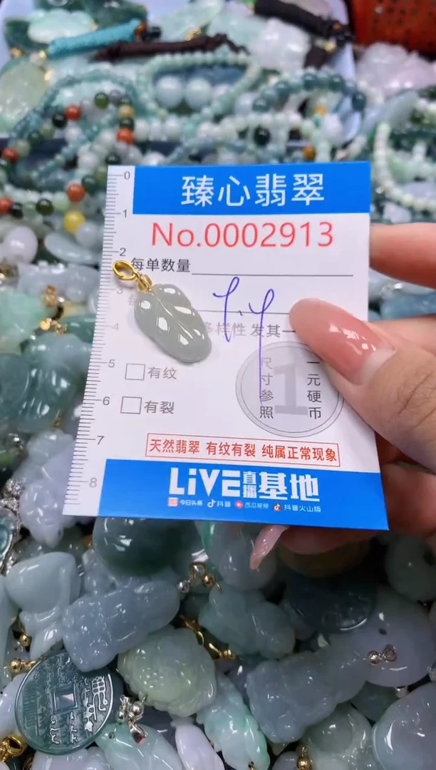 翡翠未镶嵌颈饰2913