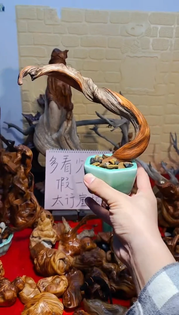 【闪购商品】柏木46崖柏崖柏崖柏崖柏