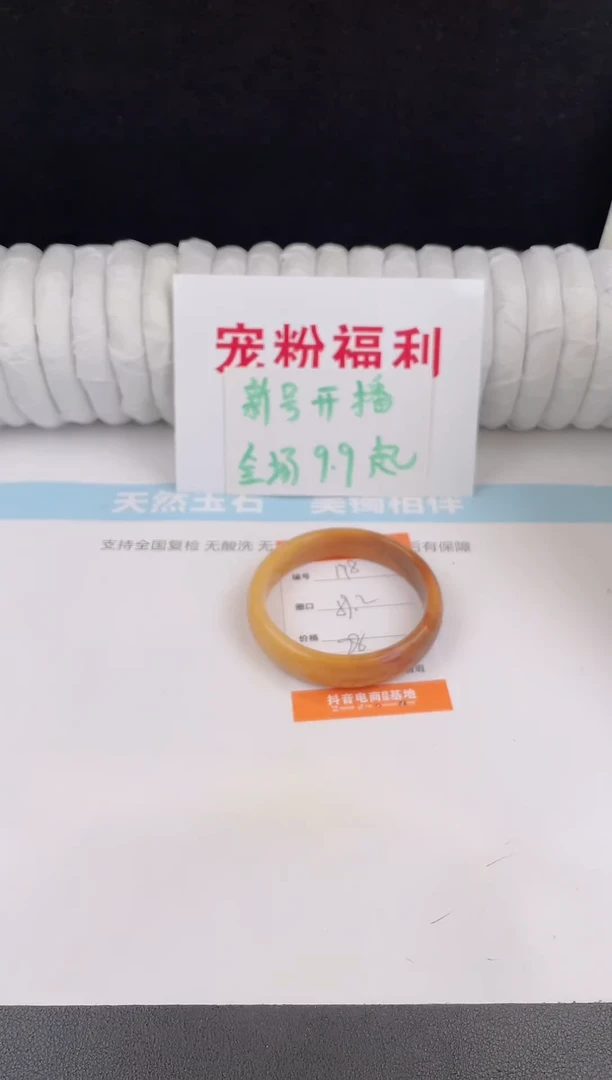 未镶嵌手镯石英质玉198