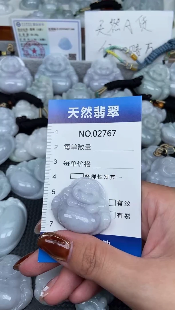 颈饰未镶嵌翡翠纯天然A货翡翠2767