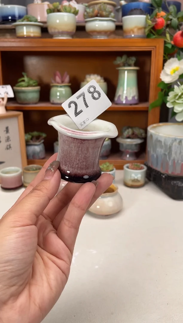 瓷片278知木小芳花盆