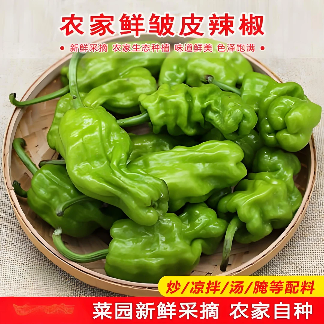 云南特产新鲜皱皮辣椒高山露天种植现摘现发炒菜食材农家新鲜蔬菜