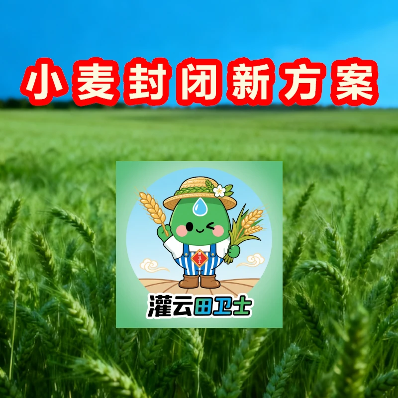 小麦封闭新方案水溶肥料