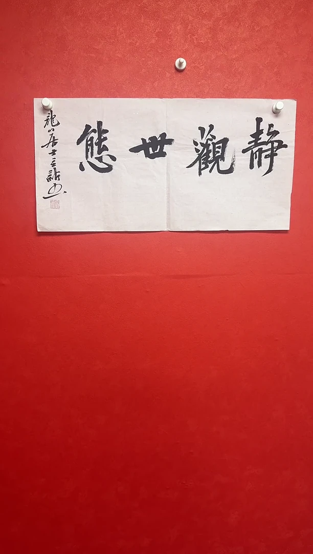 书法王立新老师精品