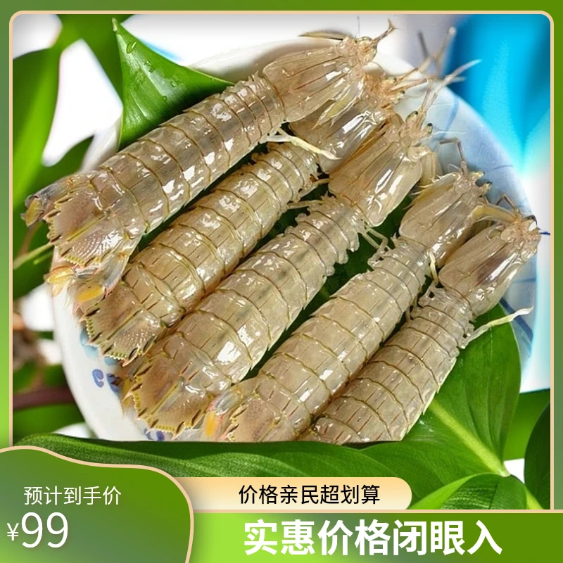 舟山本港皮皮虾（中规格）鲜活发货[保鲜不保活]