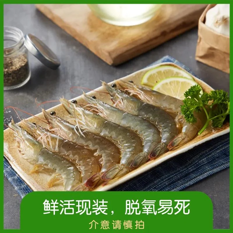 鲜青基围虾约350g/份(鲜活现捞-脱氧易死 介意慎拍)