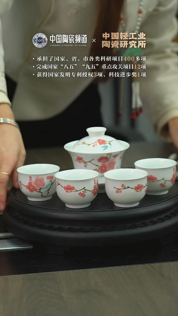 【闪购商品】B658中国景德镇陶瓷精选.