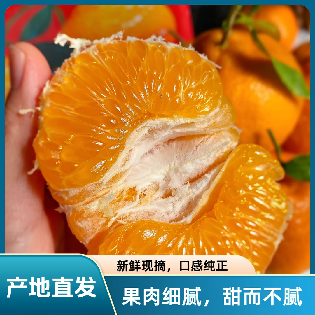 产地直发四川春见耙耙柑新鲜现摘老人孕妇水果丑橘整箱当季包邮