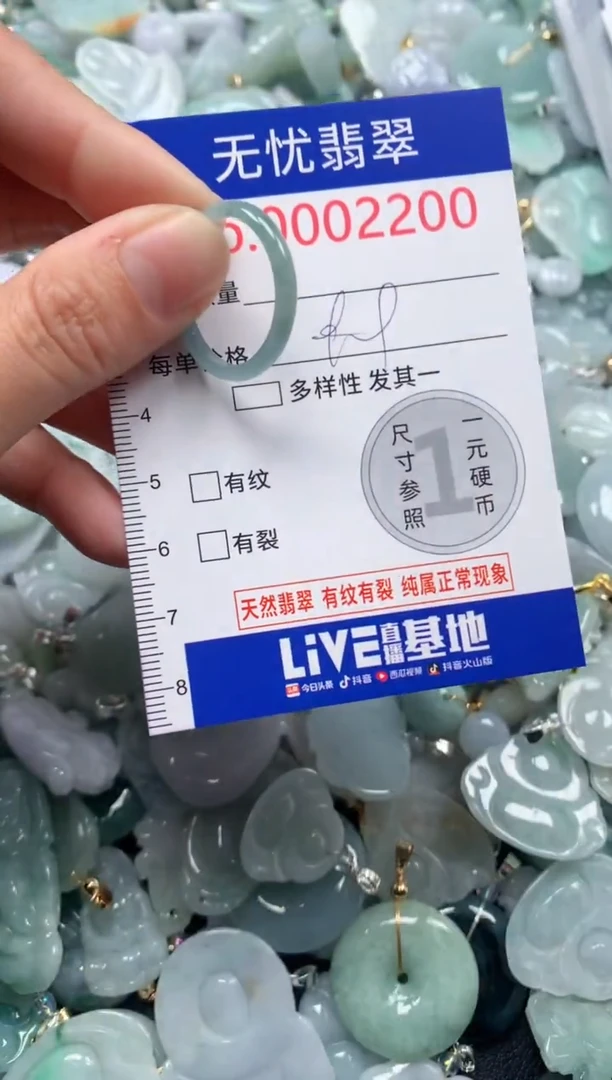 颈饰未镶嵌翡翠2200