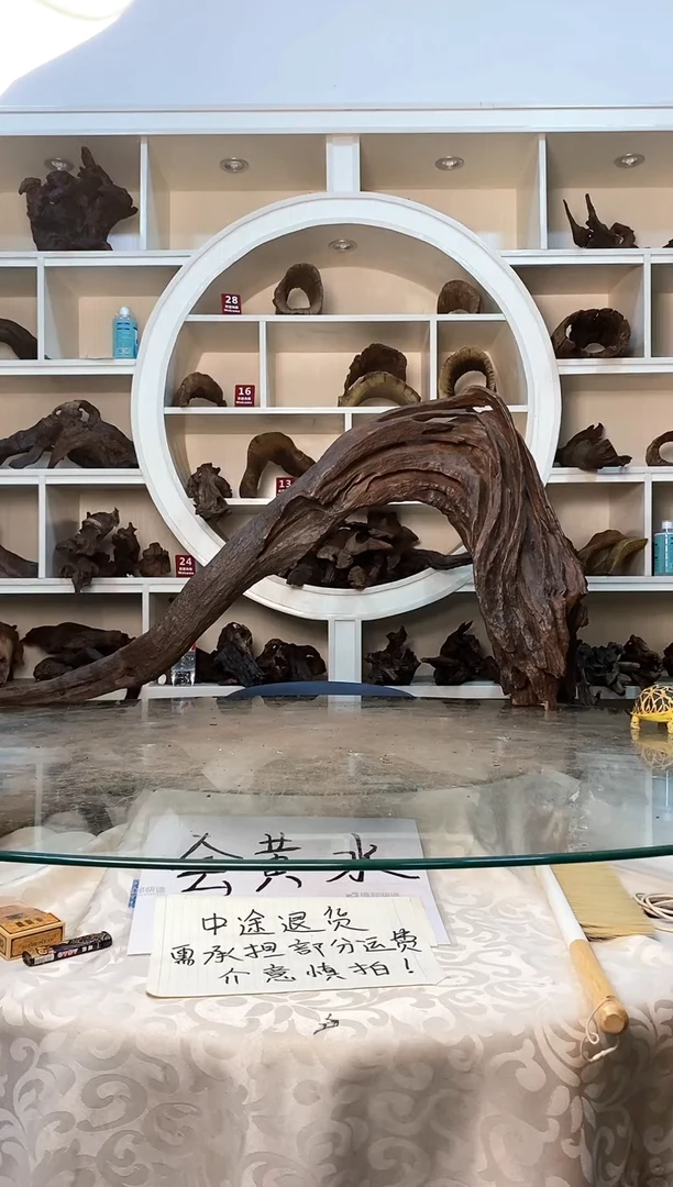 鱼缸造景素材298