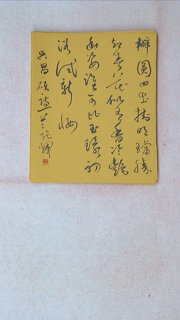 【闪购商品】书法施辉 江西新余34*27