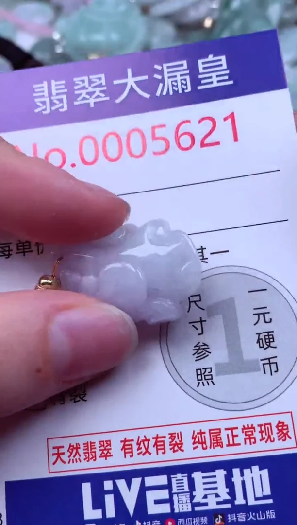 吊坠(不含链)未镶嵌翡翠5621
