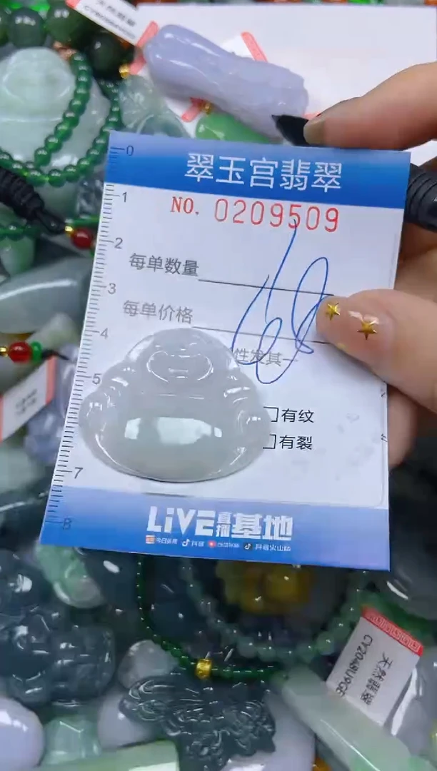 颈饰未镶嵌翡翠闪购C0209509
