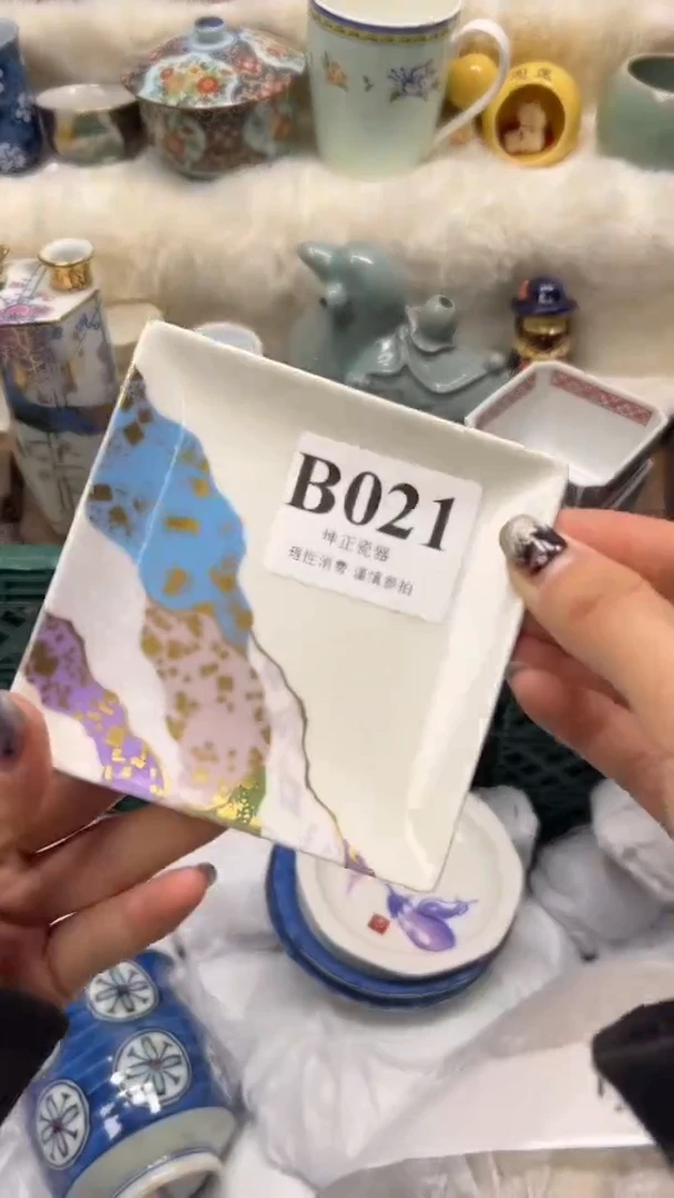 【闪购商品】瓷片          B021